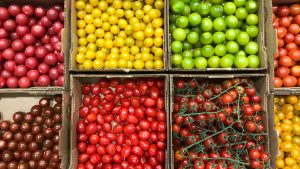 Assorted Tomatoes
