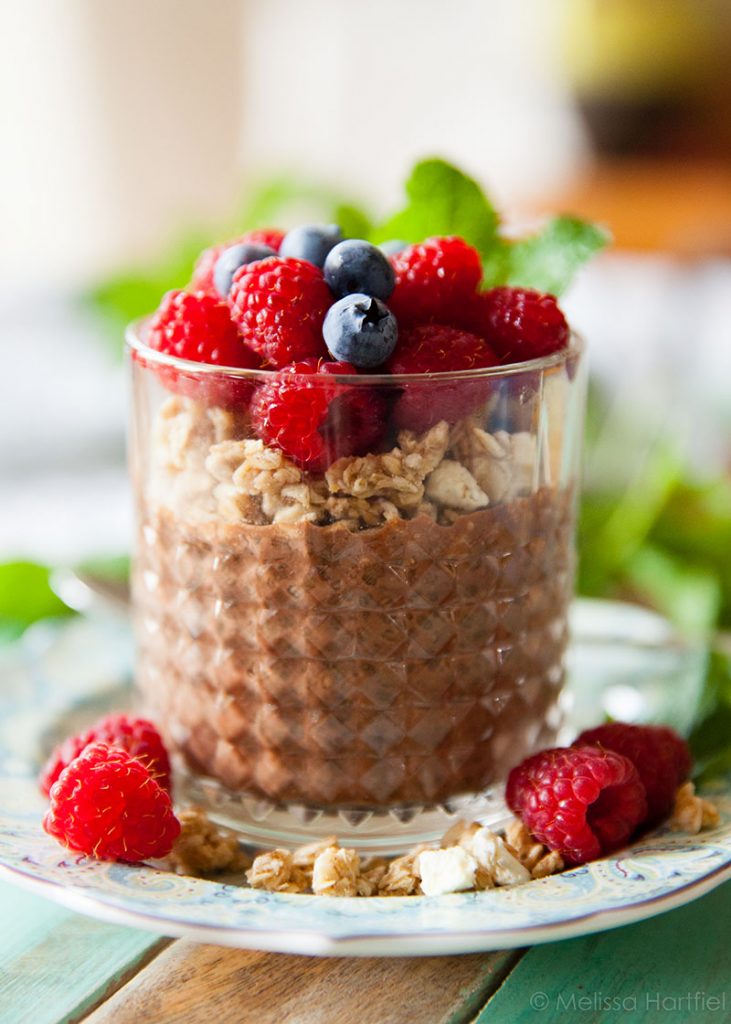 Chocolate Chia Pudding For One | One in the Kitchen
