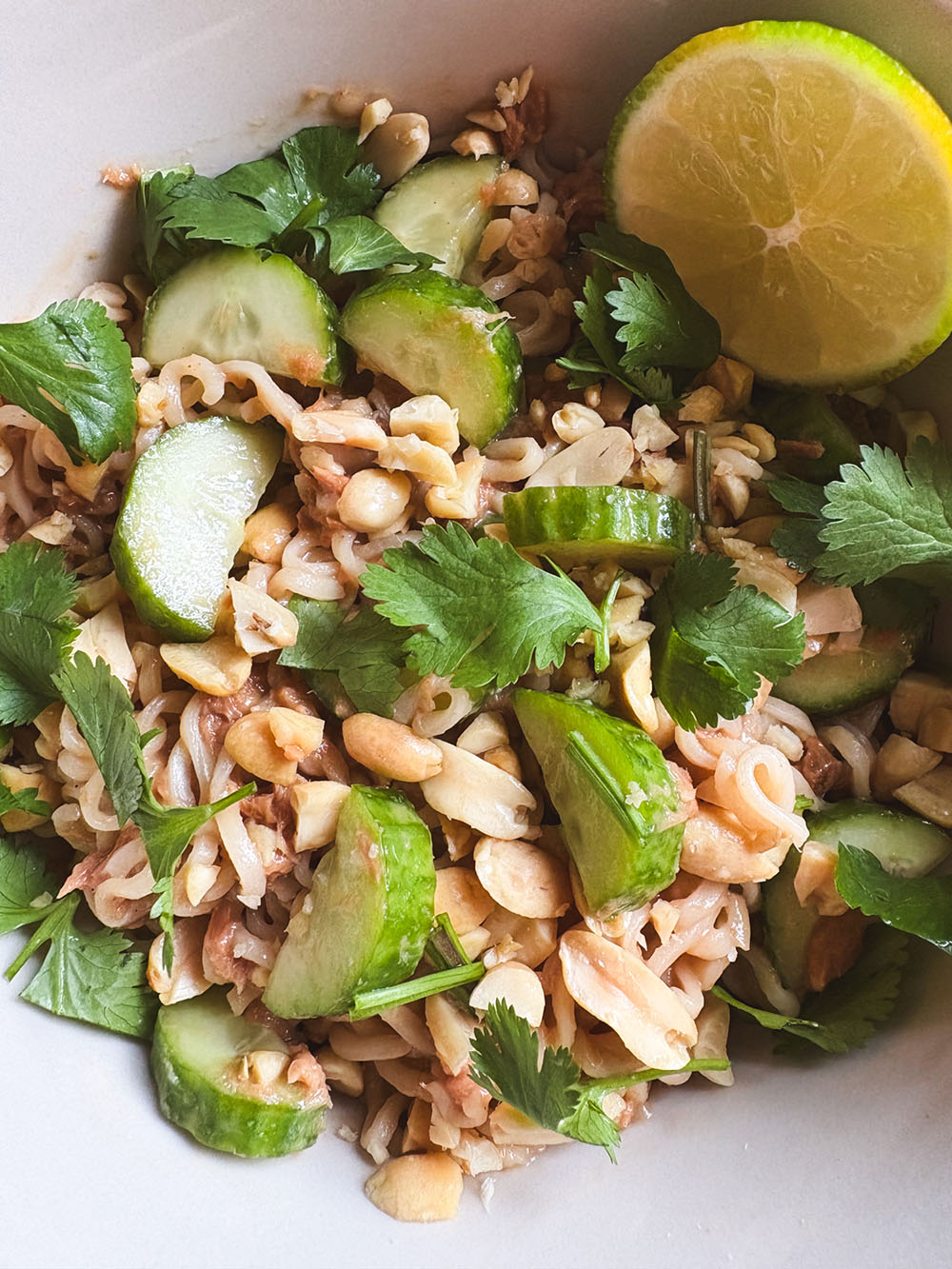 overhead view of a bowl of peanut tuna noodles with cucumbers and cilantro